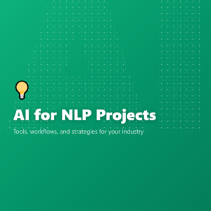 AI for NLP Projects