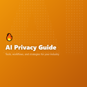 AI Privacy Guide