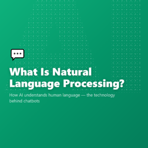 What Is Natural Language Processing?