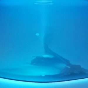 LLM Distillation 2026: Shrink Qwen3 with Axolotl & DPO - ailearningguides.com
