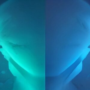 Cut Import Tariffs With AI 2026: Zonos vs Avalara vs Gaia - ailearningguides.com