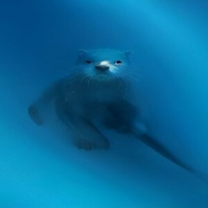 Otter-Free Legal Drafting? Harvey AI vs CoCounsel 2026 Buyer's Guide - ailearningguides.com